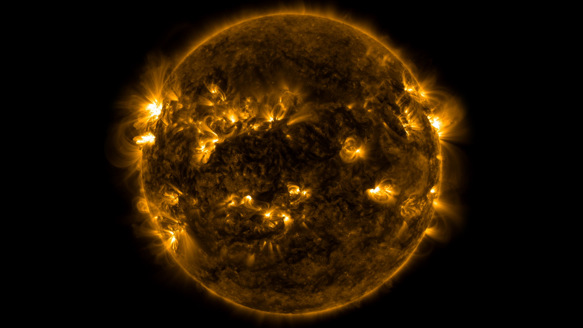 Солнечные магнитные петли в наблюдениях Solar Dynamics Observatory