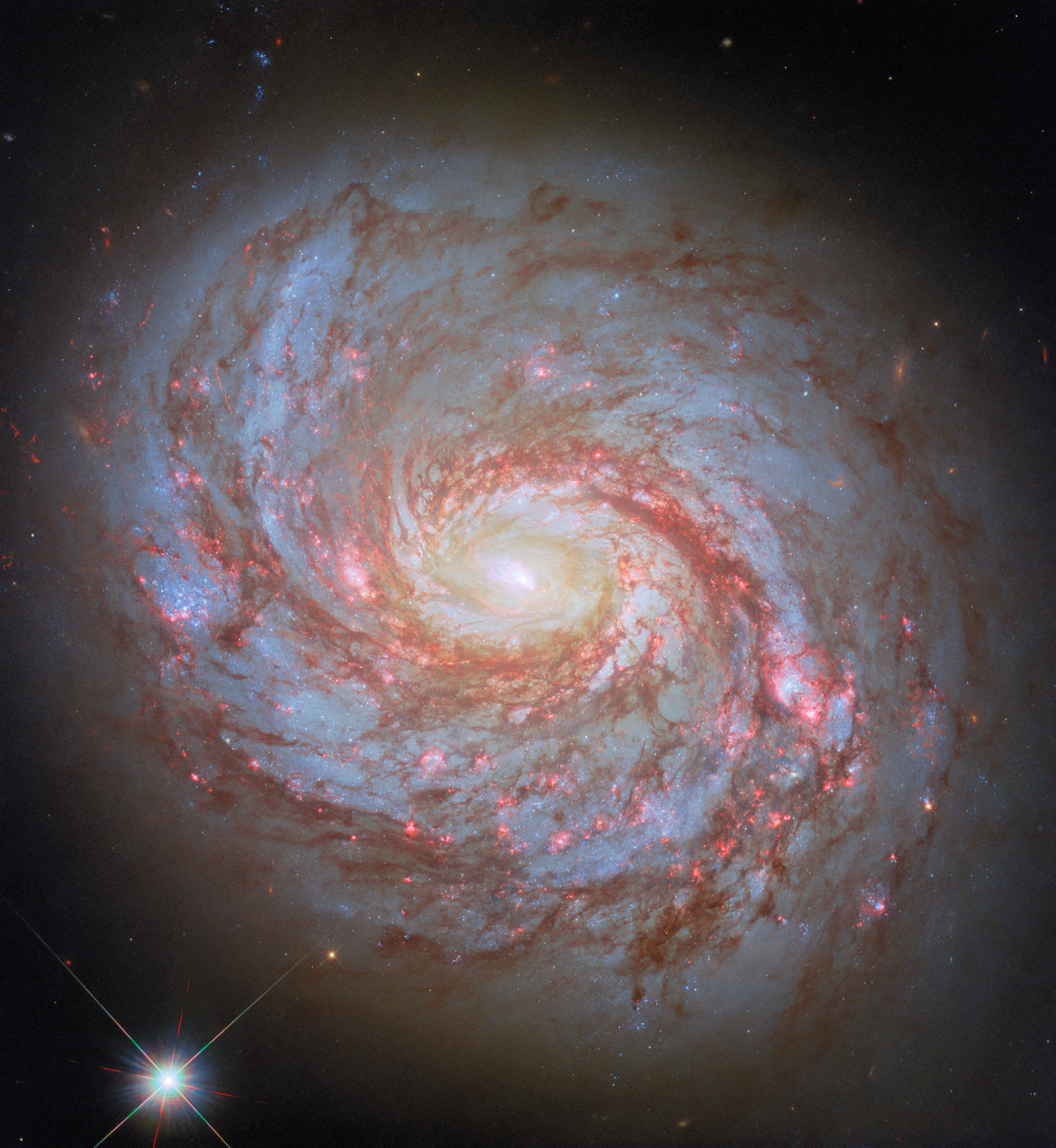 Галактика NGC 1068 на снимке телескопа Хаббл.