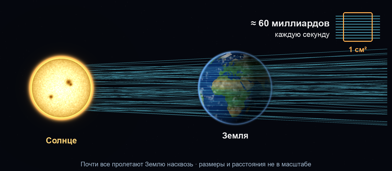Нейтрино от Солнца проходят Землю насквозь: около 60 миллиардов через квадратный сантиметр каждую секунду.